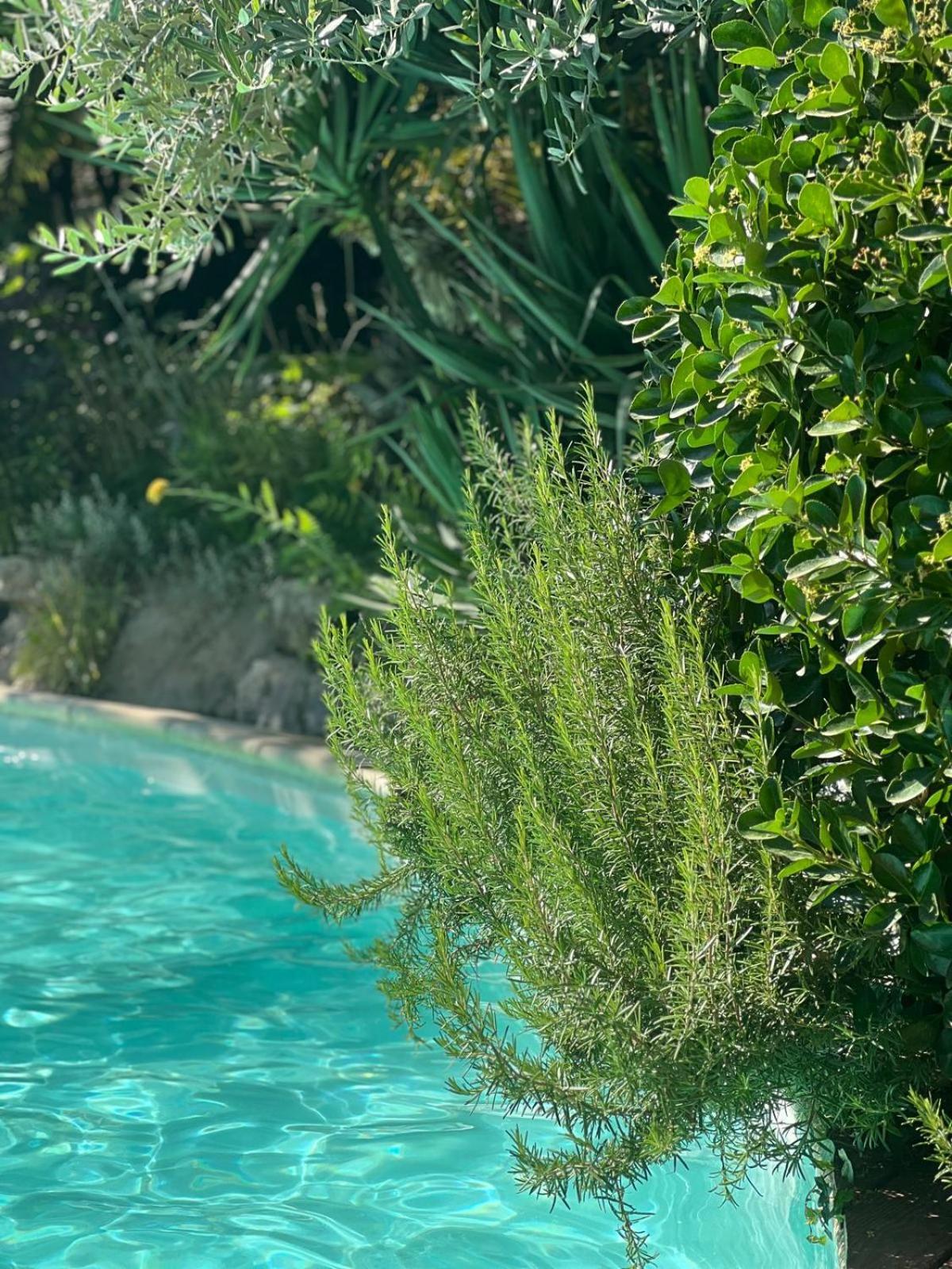 La Bastide De Canaules Ngoại thất bức ảnh